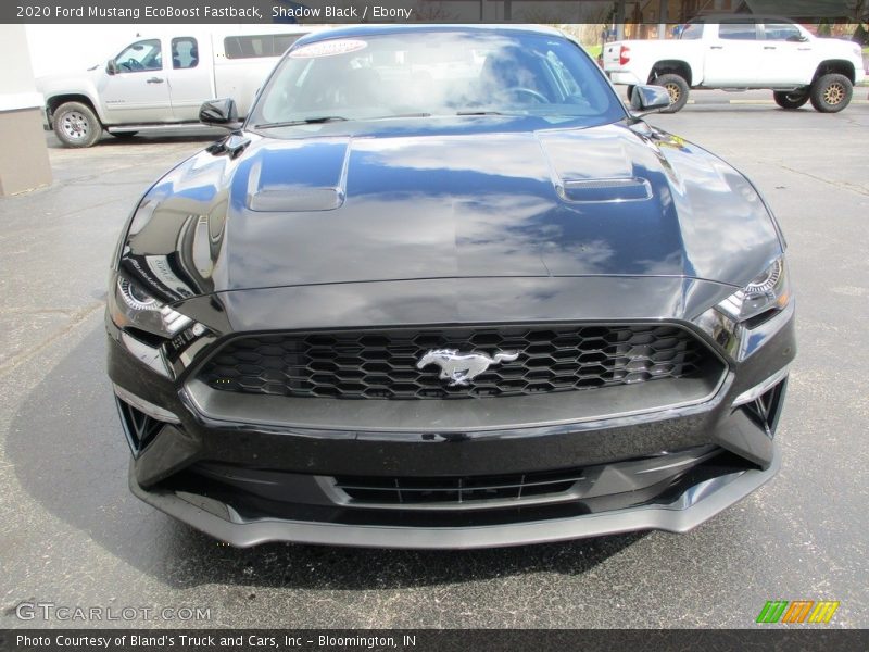 Shadow Black / Ebony 2020 Ford Mustang EcoBoost Fastback