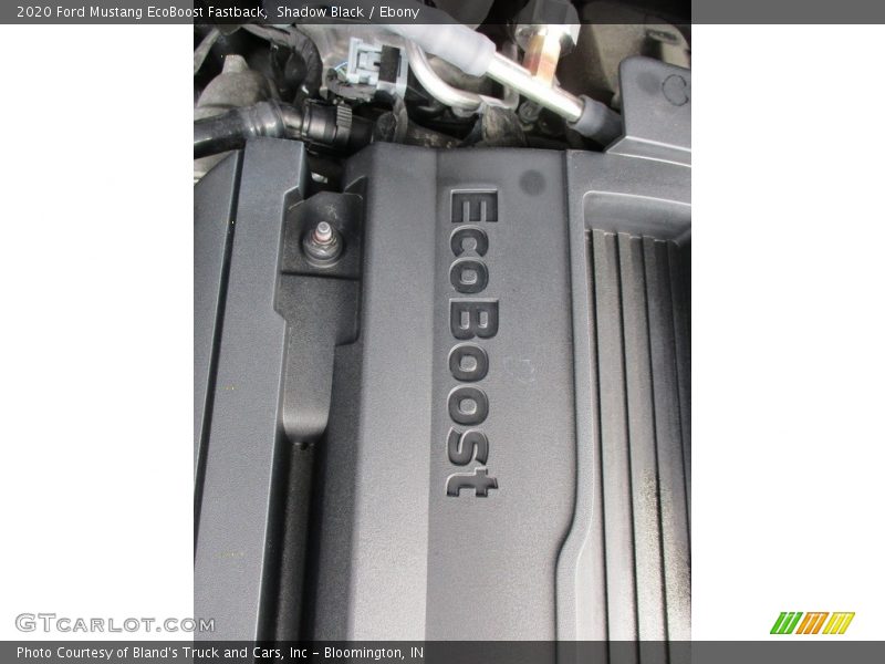 Shadow Black / Ebony 2020 Ford Mustang EcoBoost Fastback