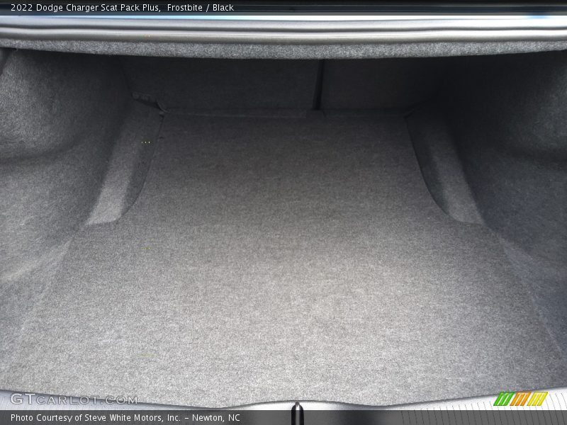 Frostbite / Black 2022 Dodge Charger Scat Pack Plus