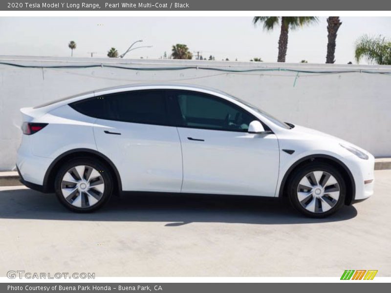 Pearl White Multi-Coat / Black 2020 Tesla Model Y Long Range