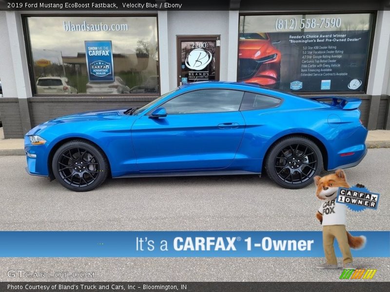 Velocity Blue / Ebony 2019 Ford Mustang EcoBoost Fastback