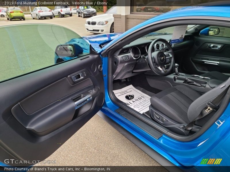 Velocity Blue / Ebony 2019 Ford Mustang EcoBoost Fastback