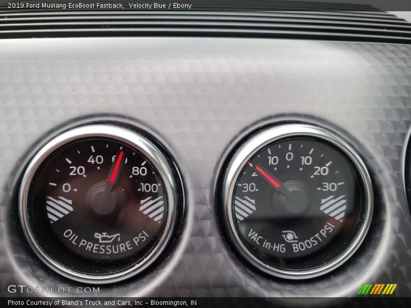 Velocity Blue / Ebony 2019 Ford Mustang EcoBoost Fastback