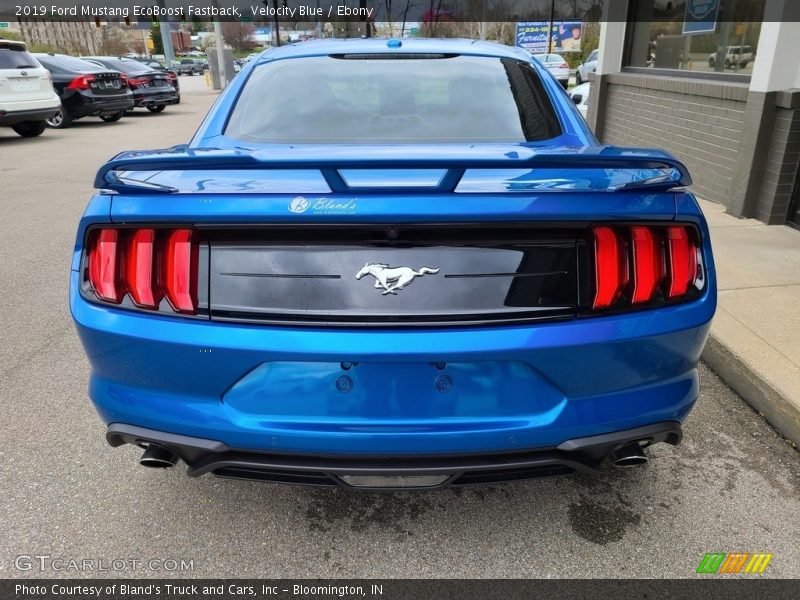 Velocity Blue / Ebony 2019 Ford Mustang EcoBoost Fastback