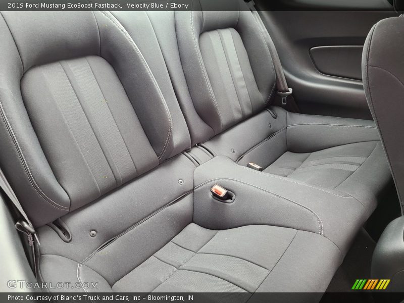 Velocity Blue / Ebony 2019 Ford Mustang EcoBoost Fastback