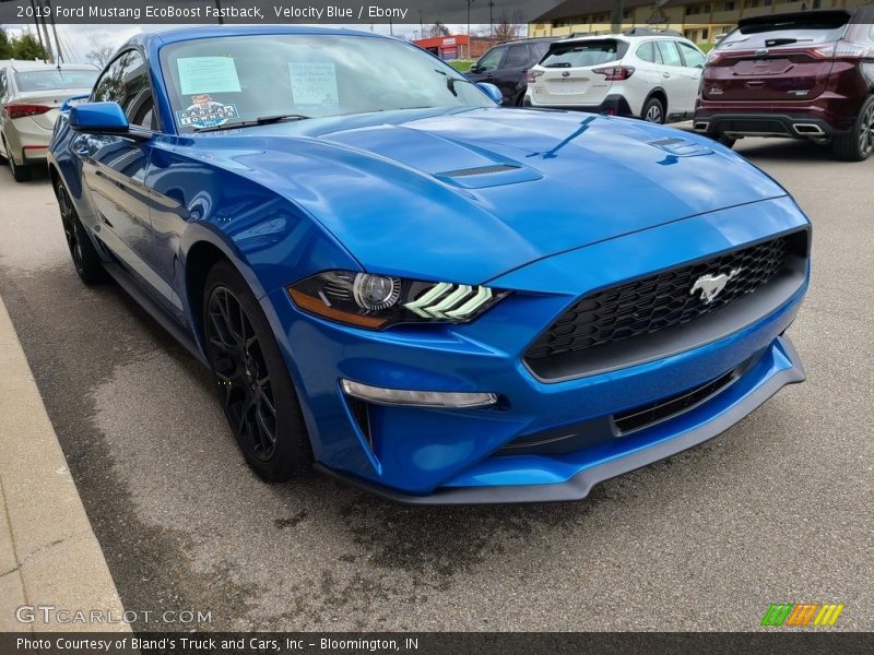 Velocity Blue / Ebony 2019 Ford Mustang EcoBoost Fastback