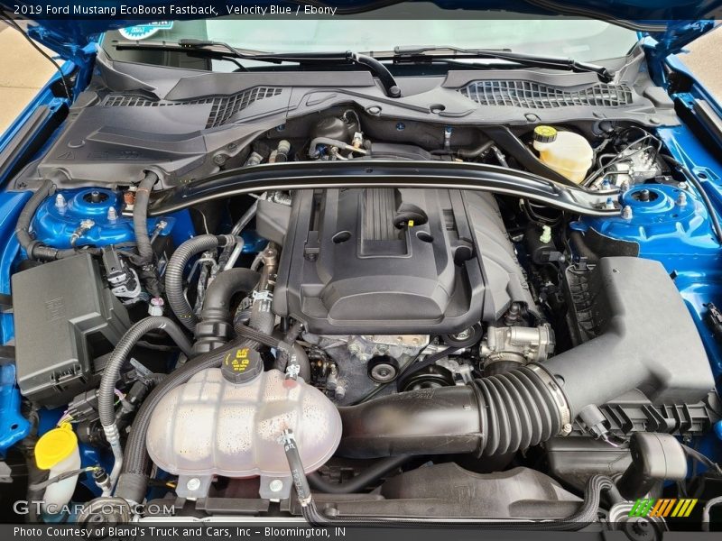 Velocity Blue / Ebony 2019 Ford Mustang EcoBoost Fastback