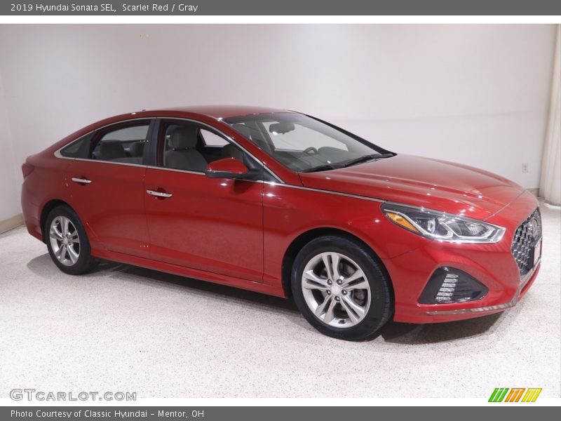 Scarlet Red / Gray 2019 Hyundai Sonata SEL