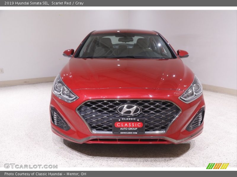 Scarlet Red / Gray 2019 Hyundai Sonata SEL