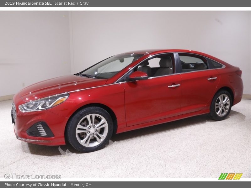 Scarlet Red / Gray 2019 Hyundai Sonata SEL