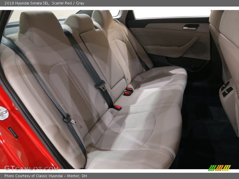 Scarlet Red / Gray 2019 Hyundai Sonata SEL