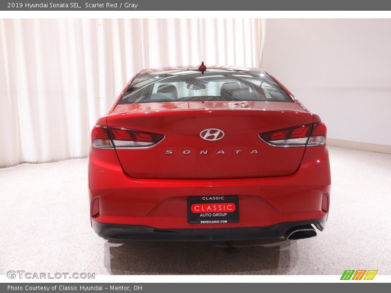 Scarlet Red / Gray 2019 Hyundai Sonata SEL