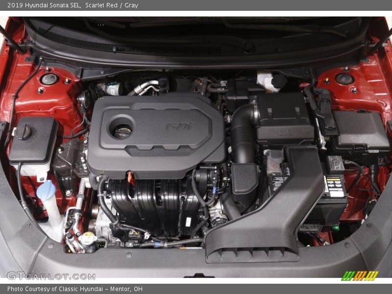 Scarlet Red / Gray 2019 Hyundai Sonata SEL