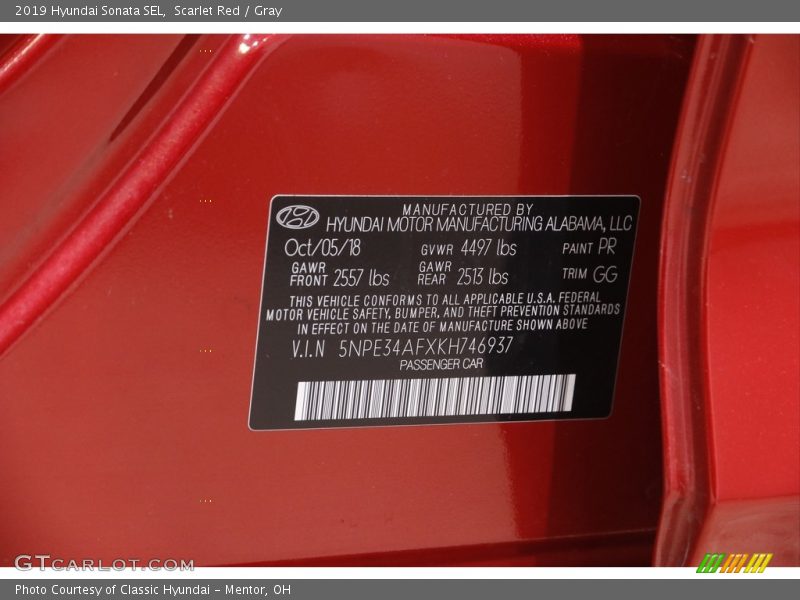 Scarlet Red / Gray 2019 Hyundai Sonata SEL