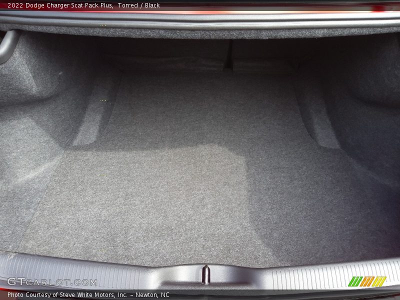 Torred / Black 2022 Dodge Charger Scat Pack Plus