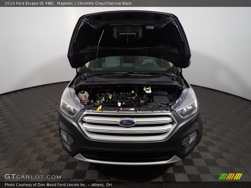 Magnetic / Chromite Gray/Charcoal Black 2019 Ford Escape SE 4WD