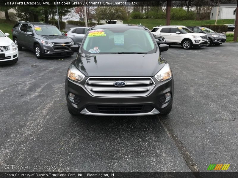 Baltic Sea Green / Chromite Gray/Charcoal Black 2019 Ford Escape SE 4WD