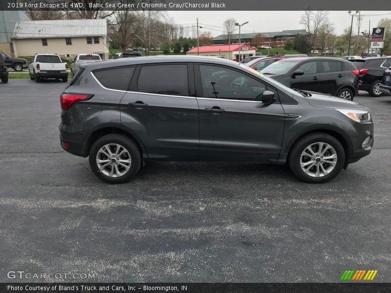 Baltic Sea Green / Chromite Gray/Charcoal Black 2019 Ford Escape SE 4WD