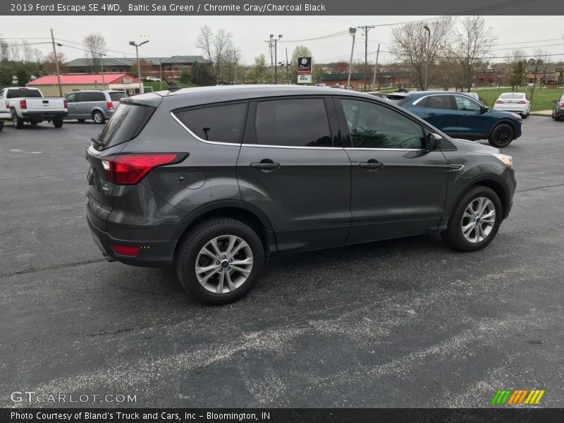 Baltic Sea Green / Chromite Gray/Charcoal Black 2019 Ford Escape SE 4WD