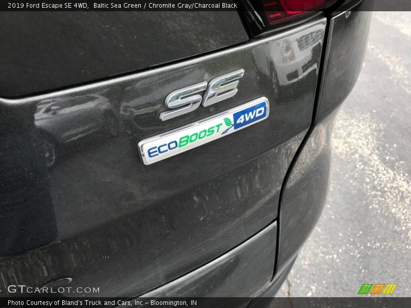 Baltic Sea Green / Chromite Gray/Charcoal Black 2019 Ford Escape SE 4WD