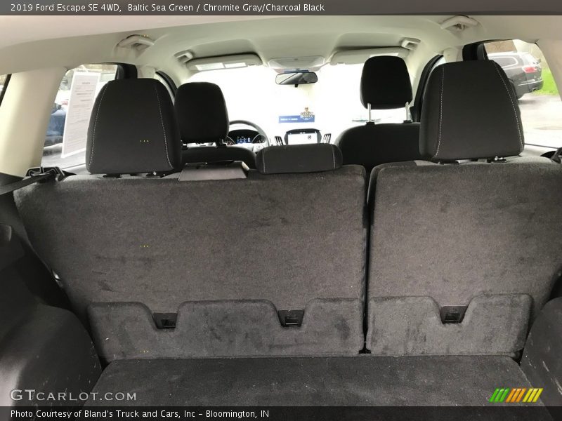 Baltic Sea Green / Chromite Gray/Charcoal Black 2019 Ford Escape SE 4WD