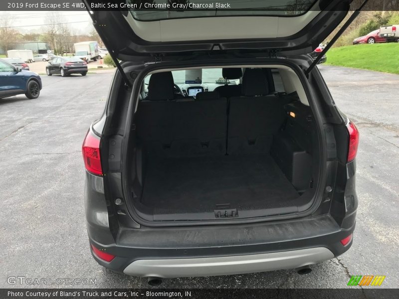 Baltic Sea Green / Chromite Gray/Charcoal Black 2019 Ford Escape SE 4WD