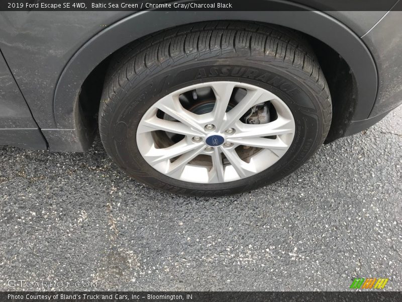 Baltic Sea Green / Chromite Gray/Charcoal Black 2019 Ford Escape SE 4WD