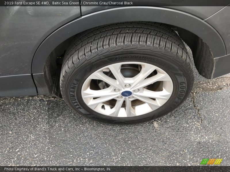 Baltic Sea Green / Chromite Gray/Charcoal Black 2019 Ford Escape SE 4WD