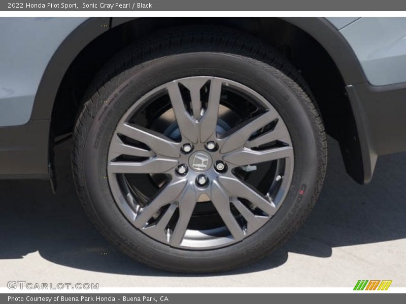  2022 Pilot Sport Wheel