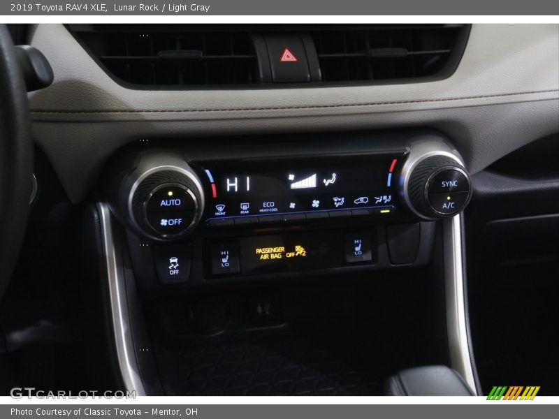 Lunar Rock / Light Gray 2019 Toyota RAV4 XLE