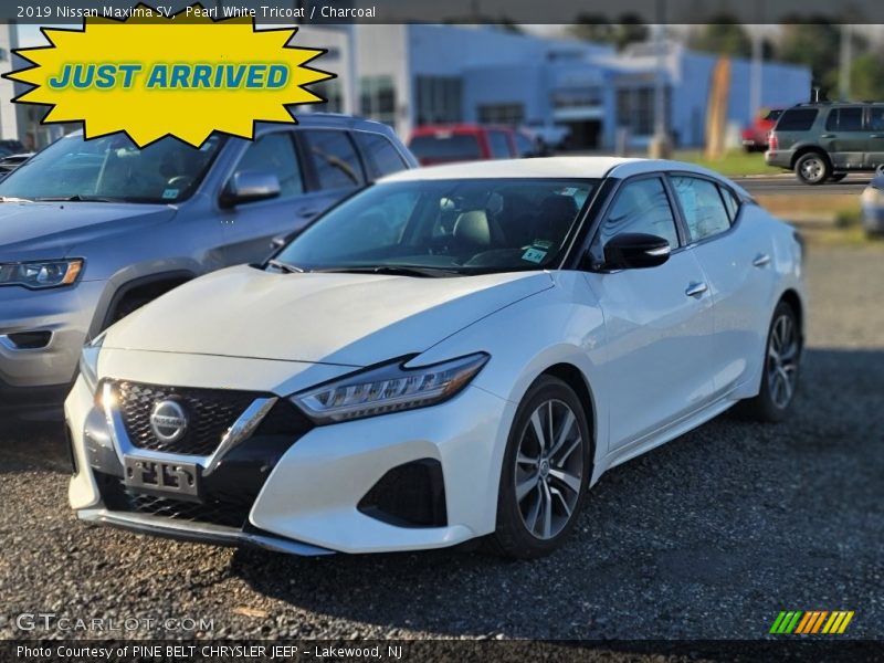 Pearl White Tricoat / Charcoal 2019 Nissan Maxima SV
