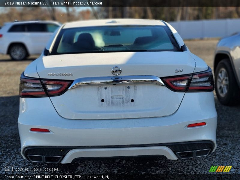 Pearl White Tricoat / Charcoal 2019 Nissan Maxima SV