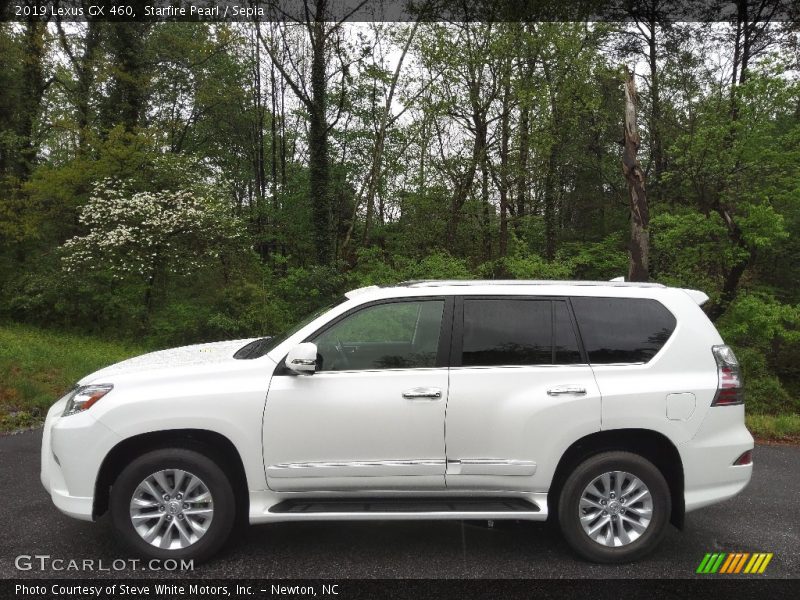 Starfire Pearl / Sepia 2019 Lexus GX 460