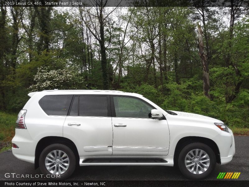 Starfire Pearl / Sepia 2019 Lexus GX 460