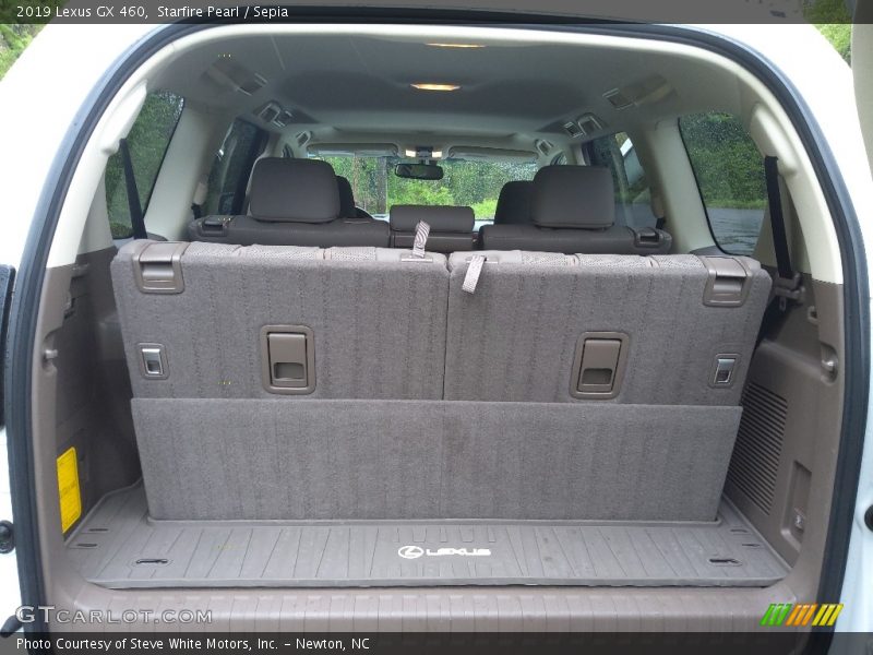  2019 GX 460 Trunk