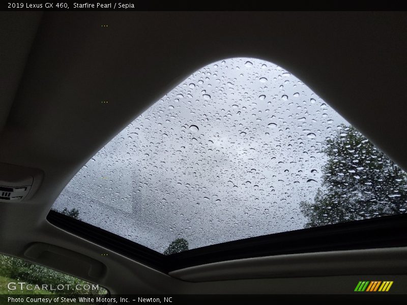 Sunroof of 2019 GX 460