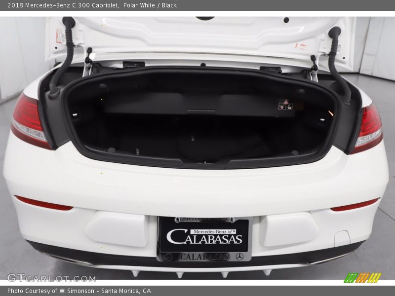 Polar White / Black 2018 Mercedes-Benz C 300 Cabriolet
