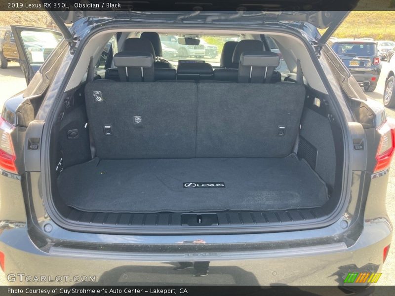  2019 RX 350L Trunk