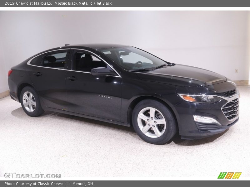 Mosaic Black Metallic / Jet Black 2019 Chevrolet Malibu LS