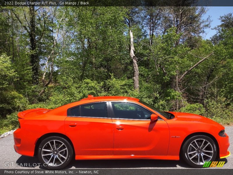  2022 Charger R/T Plus Go Mango