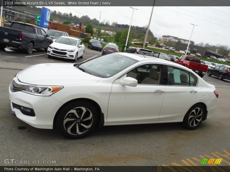 White Orchid Pearl / Ivory 2016 Honda Accord EX-L V6 Sedan