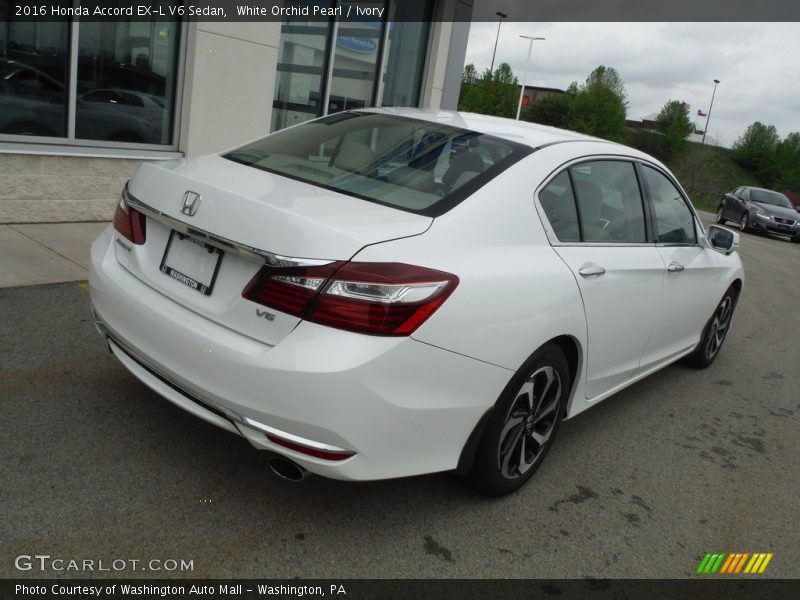 White Orchid Pearl / Ivory 2016 Honda Accord EX-L V6 Sedan