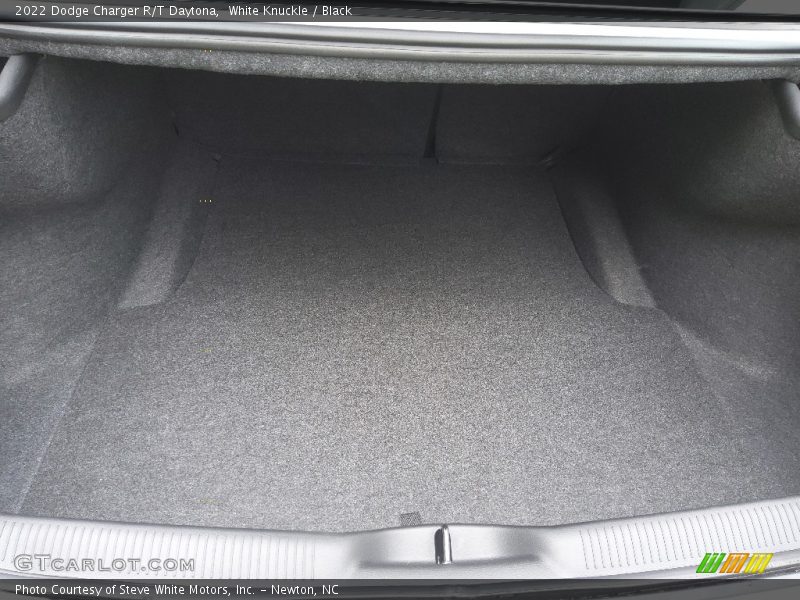 2022 Charger R/T Daytona Trunk