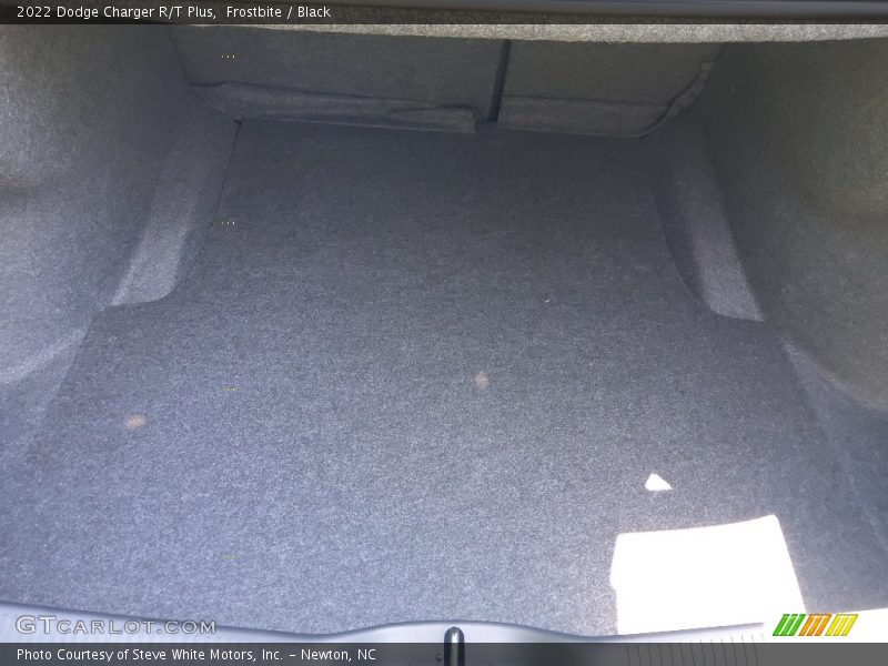Frostbite / Black 2022 Dodge Charger R/T Plus