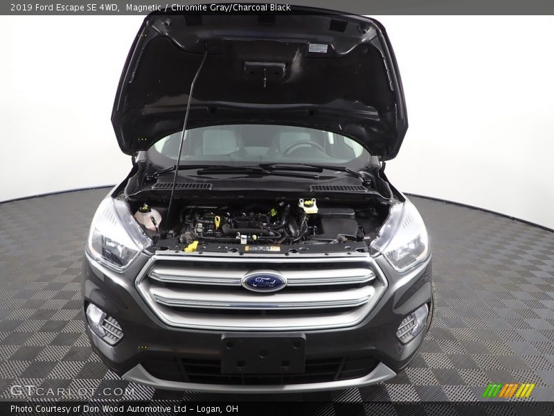 Magnetic / Chromite Gray/Charcoal Black 2019 Ford Escape SE 4WD