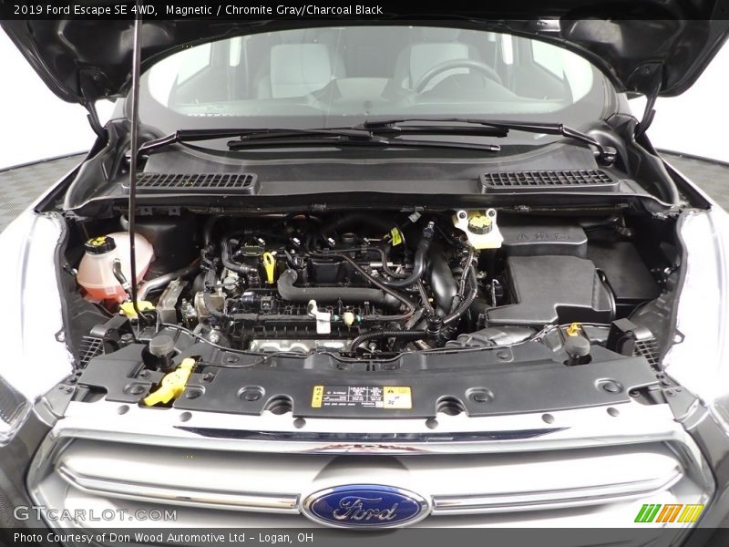 Magnetic / Chromite Gray/Charcoal Black 2019 Ford Escape SE 4WD