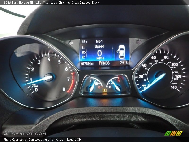 Magnetic / Chromite Gray/Charcoal Black 2019 Ford Escape SE 4WD