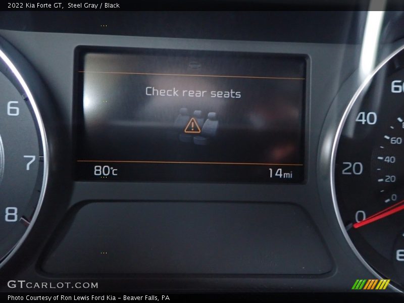 Steel Gray / Black 2022 Kia Forte GT