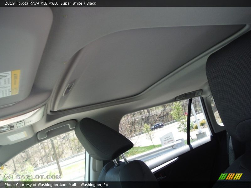 Super White / Black 2019 Toyota RAV4 XLE AWD