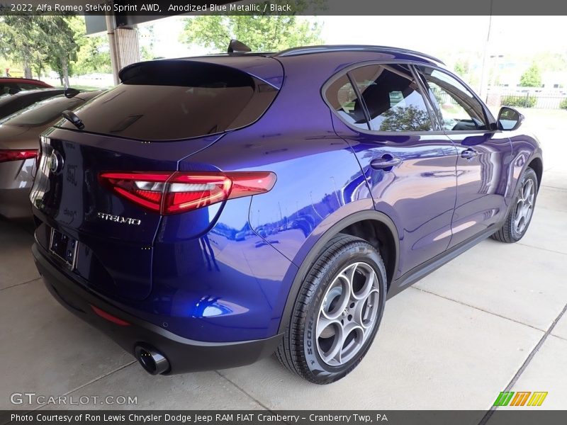 Anodized Blue Metallic / Black 2022 Alfa Romeo Stelvio Sprint AWD
